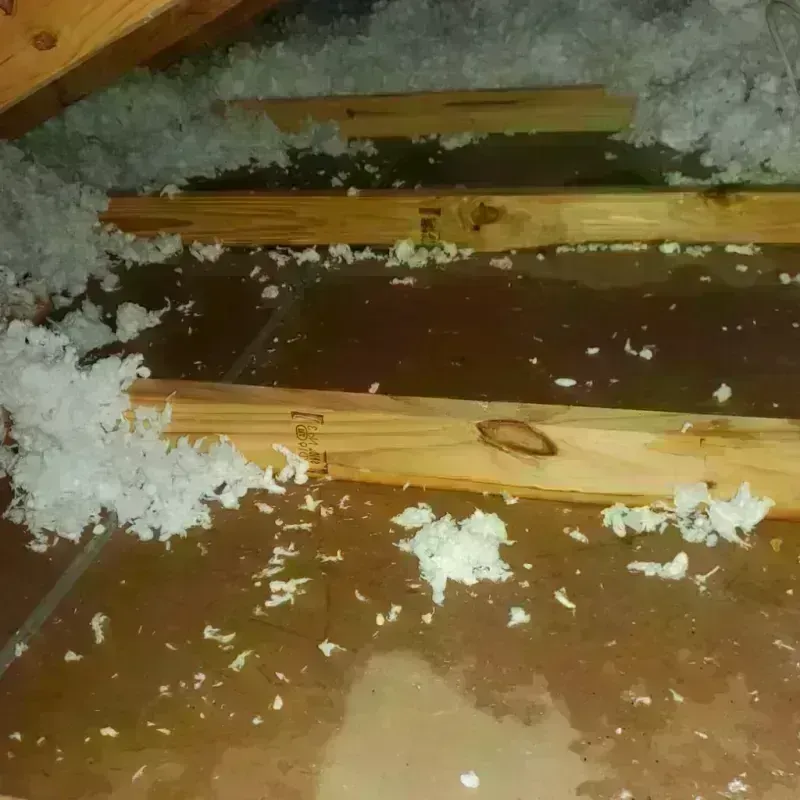 Attic Water Damage in Bartlett, NE