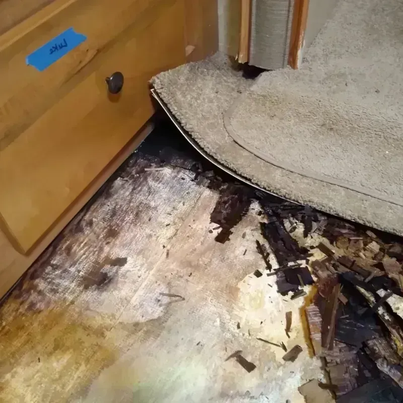 Wood Floor Water Damage in Bartlett, NE